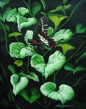by Jeff Siminoff