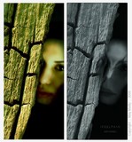 by May  Madly