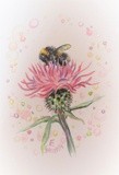 by Little Liz Happy Art