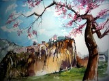by marcel reynaert