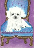 by Sherry Melberg