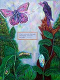 by Amy Buchheit