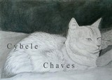 by Cybele Chaves