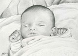 by Tracey  Riedel