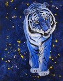 by Jo-Jo Kolodnicki, Jr.