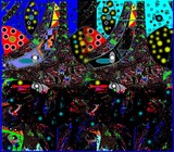 by Barry Huyett