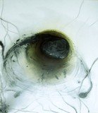 by Miriam Gonzalez Gil