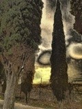 by gianantonio zago marino