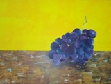 by Marijke Cloes