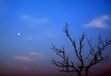 by Rohit Shrivastava