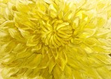 by Jeanie Chadwick