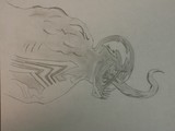 by Carson Hawkes