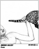 by MH  Heintz