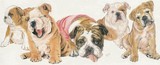 by Barbara Keith