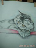 by kaukab ahmad