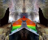 by TOMMY  BEAVER