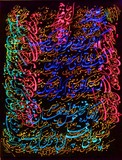 by Shahram  S. Nahavandi