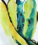 by Kathy Morton-Stanion