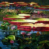 by John Lautermilch