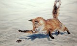 by Judy Cooper