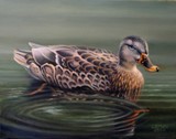 by Dan Mills