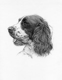 by Wendy Poulton