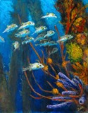 by jennifer  belote