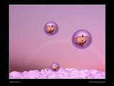 by Astrid van der Eerden