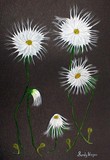 by sandy wager