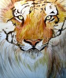 by Barbara Giordano