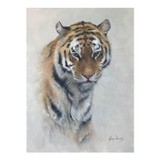 by Lynne Davies