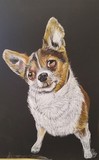 by Debi Melkonian