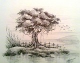 by steffy kunjumon