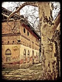 by Sarnyai Zoltan