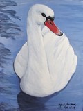 by Mandy Fairbairn