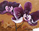 by Lucinda Troester