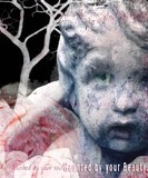 by Melissa Rinaldi