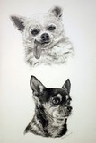 by Geraldine Simmons