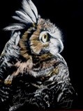 by Justin Dancing Hawk