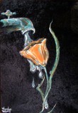 by Voodoo Velvet