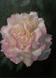 by Rita Benz