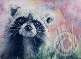 by Hedy Fischer