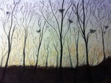 by Anna Beveridge