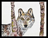 by Cathy Turner