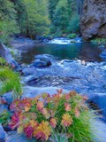 by Mike Mullen