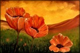 by Peggy Garr