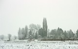 by Ad Schaap