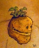 by Snook Berry