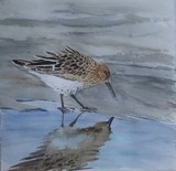 by Gudrun  Hreinsdottir 