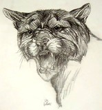 by Elizabeth Butler